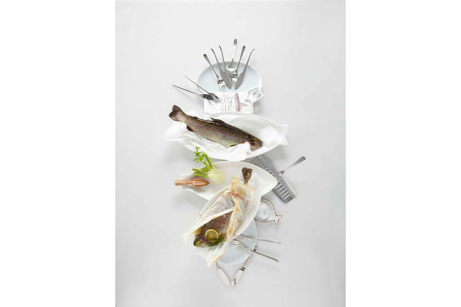 home_fisch_2_web