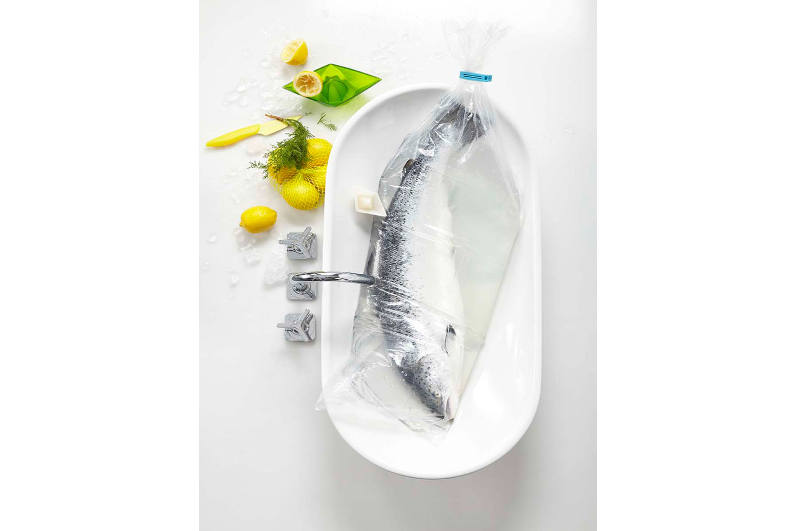 home_fisch_5_web